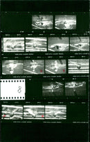 1981 SWEDES SWEDISH SWIMMERS COMPETE MEN FILM PETER - Vintage Photograph