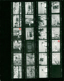 BLOOD KOSTADOVA BUL UVA BYKOWA TAMARA MYRICKS CARRY PETROVIC BILJANA JUG - Vintage Photograph