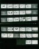 BLOOD FRANCE AUSTRIA ITALY CUBA FILM JOHN MICHAEL CHARLES - Vintage Photograph