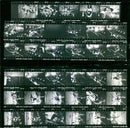 1982 USSR MUSTARD LEES KODAK SAFETY FILM COLLECTION SOME MOST FAM - Vintage Photograph