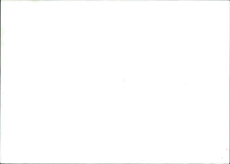 1944 BLOOD CHINA ROMANIA USA HUNGARY BULGARI CLAUDIA ITALY FRANCE - Vintage Photograph