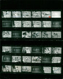 1969 BLOOD KENYA CUBA ERENG PAUL DRUPPERS ROB REDWINE KINGDOM JOHN JACKSON - Vintage Photograph