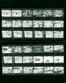 BLOOD SOMHOIR SHOSMOS EMPTY PIDZA BIAR START MEI STEFA - Vintage Photograph