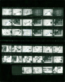 1989 BLOOD BUDAPEST HUNGARY ROMANIA PAUL VERA JACKSON MARIE - Vintage Photograph