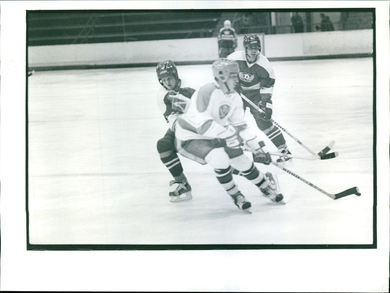 GDR championship ice hockey 1985 - Vintage Photograph