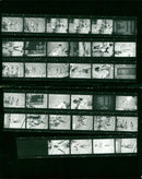 1988 BLOOD BUDAPEST EVENT HELD HUNGARY PAUL - Vintage Photograph