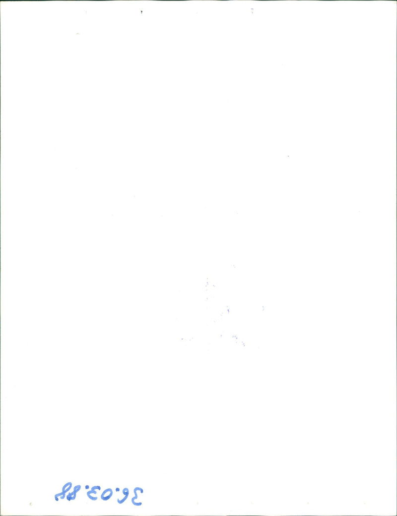 1988 OLYMPIA CALGARY BOB COMPETITIONS CANADA WERE CONTINUED - Vintage Photograph