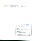 EVERYONE KOONEN TRIATHLON TOUR PEOPLE HOCHNE FILM - Vintage Photograph