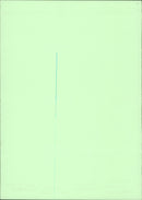 1988 PREG ANNALISA MEYERS JUSTIN GREEN KLARI ENGI MUSIC PAUL FIGURE VERA - Vintage Photograph