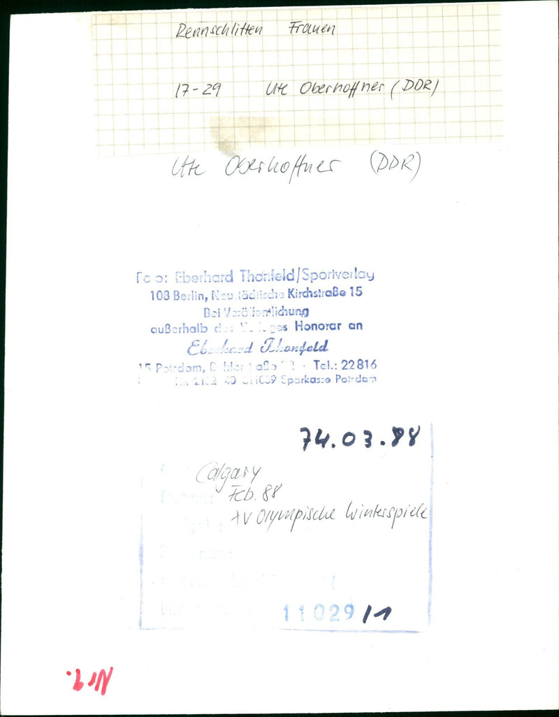 ITER OLYMPIA RACE SLEDGE WOMEN UTE OBERHOFF HER DRA CTTE OBER HOFFMANUER - Vintage Photograph