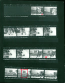 ITER OLYMPIA RACE SLEDGE WOMEN UTE OBERHOFF HER DRA CTTE OBER HOFFMANUER - Vintage Photograph