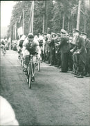 MOST SUCCESSFUL FILM ALL BASED NOVEL - Vintage Photograph