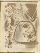 FILM RELEASED UNITED STATES RELE - Vintage Photograph