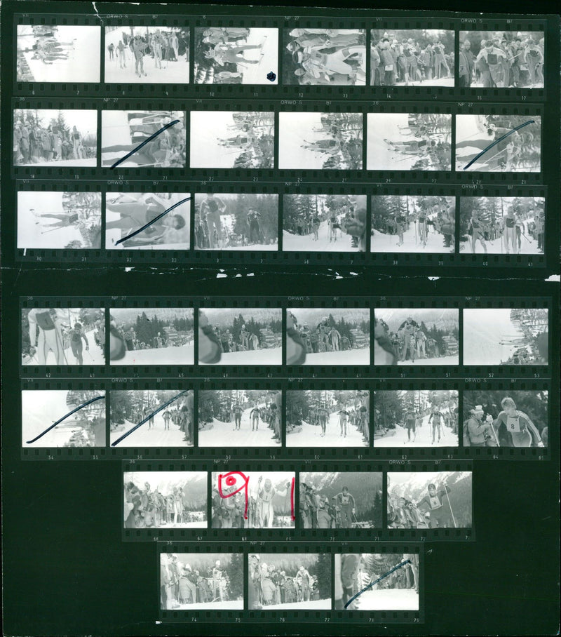CART STREPESKE SVAN NYC AUSTRIAN FILM FESTIVAL HELD VIENNA AUSTRIA - Vintage Photograph
