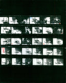 1993 COMPETITIONSLAN FILM KARI HARKONEN FIN BENEDETTO CARAAR ITA NIKOLAI SIMJATO - Vintage Photograph