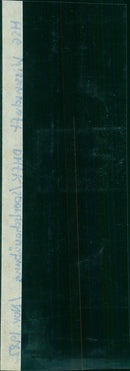 DMFK MUSIC AND GYMNASTICS FESTIVAL TAKES PLACE EVERY - Vintage Photograph