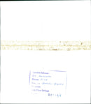 ISEL KODAK SAFETY FILM VIDEO HIS - Vintage Photograph