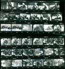 CUDO FILM FESTIVAL DACIA POLAND MOST POPULAR - Vintage Photograph