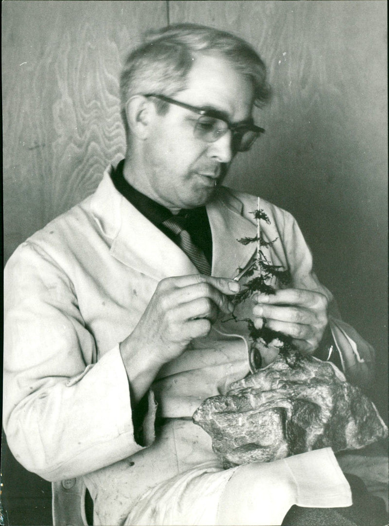 1976 MOES MODEL BUILDING CASKS HAMBURGER BETRIEBSBANK HAMBURG - Vintage Photograph