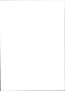 KARL RIES OUR MODEL BUILDING LOAD FRIEDRICH FOUND - Vintage Photograph