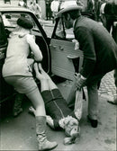 THALER TRAIL DENOTT FILM MADE MLA PEG IZONE HOPEFULLY CARRIAGES SOME - Vintage Photograph