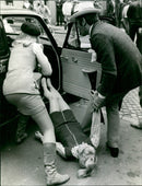 DEUR SDEROTT TATER TRAIL NINE SCENE WHICH HAPPYLY SOME FILM - Vintage Photograph