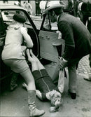 DEUR TAFER TRAIL SCRAP PES SCENE DLO HOPFULLY SOME FILM - Vintage Photograph