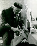 THALER TRAIL DENOTT TATER SOUR PRGO SCRAP IRRELLABL FILM - Vintage Photograph