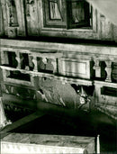 MARUD BLOOD SACHER REICHMANN SHOWS PECULIAR TUMULTUOUS - Vintage Photograph