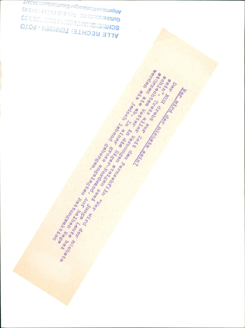 CURRENTLY SHOOTING MOVIE WHO NEXT DESPITE ALL - Vintage Photograph