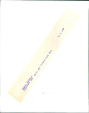 FUN THROUGH SKATSCHE AND MUSIC JOHNNY REYK AIR - Vintage Photograph