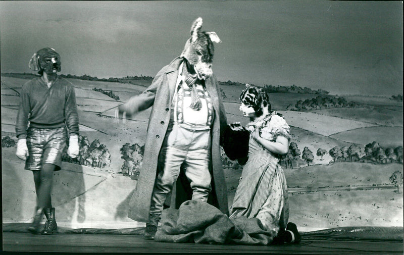 Bremen Town Musicians - Vintage Photograph