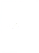 KAMMEROPOP MUSICAL THEATER COMPANY BASED AMSTERDAM KAMMEROP KNOW - Vintage Photograph