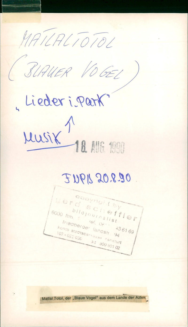 1990 SUMMERIME MAICAL TOTOL SUAUER VOGEL LIEDER PARK MUSIC FUPIS - Vintage Photograph