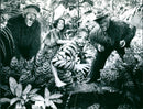 Children's musical "Jungle Book" in the Frankfurt children's and youth theater - Vintage Photograph
