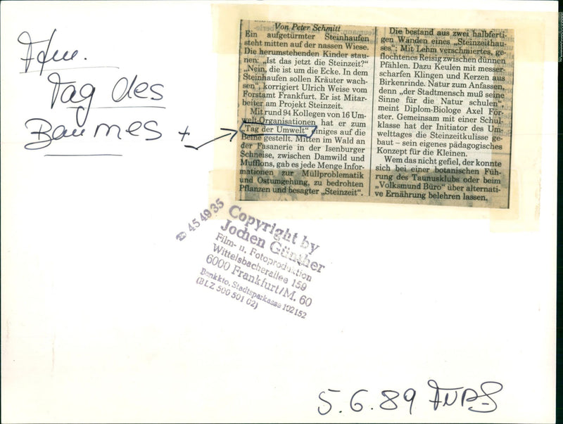 1989 TREE ENVIRONMENT STONE AGE NATURE SCHOOL FILM PETER - Vintage Photograph