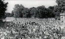 MMERTI SONGS PARK ANNUAL MUSIC FESTIVAL - Vintage Photograph