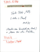 1991 songs in the park - Vintage Photograph