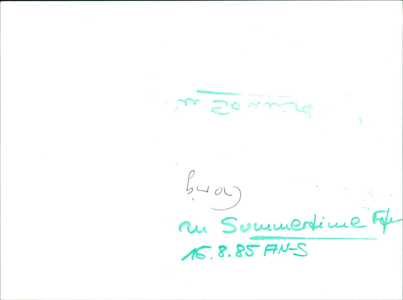 1990 songs in the park - Vintage Photograph