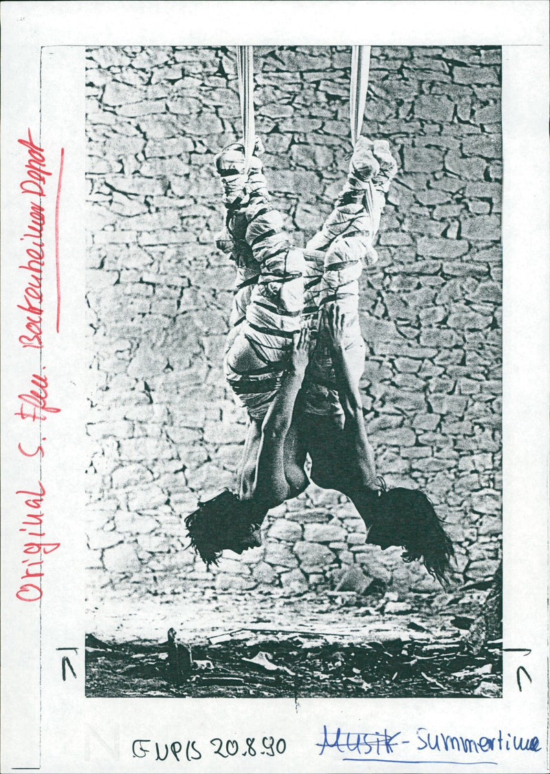 1990 SUMMERTIME MUSIC VERDI MOZART MAHLER STRAUSS JOAN CONCERT - Vintage Photograph