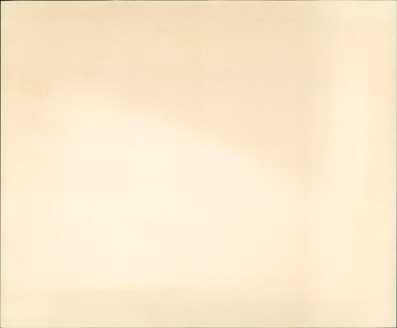 WINNING FLOWS GUKUNUD ARE MODELED FLU BED NATURE - Vintage Photograph