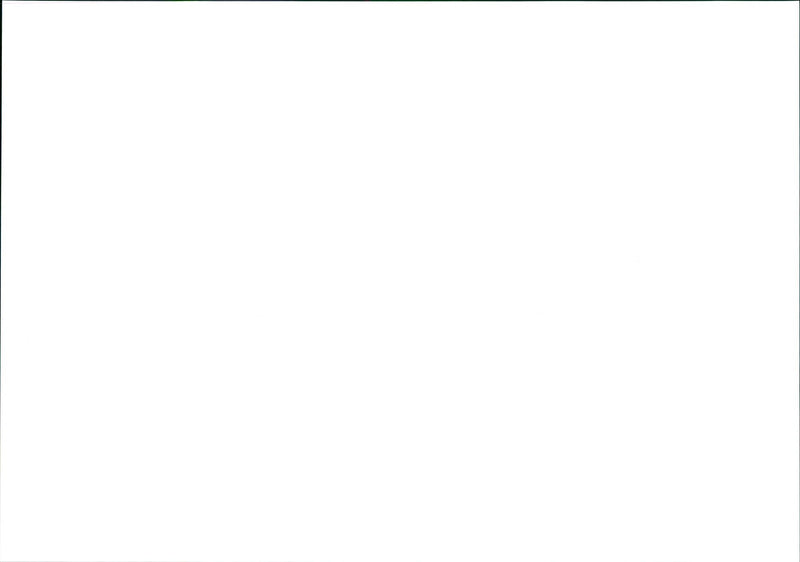 1998 BERLI DENKENLER DENK HOLOCAUST NAKUMAH AMERICAN NATIONAL PETER MODEL - Vintage Photograph