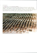 1998 BERLI DENKENLER DENK HOLOCAUST NAKUMAH AMERICAN NATIONAL PETER MODEL - Vintage Photograph