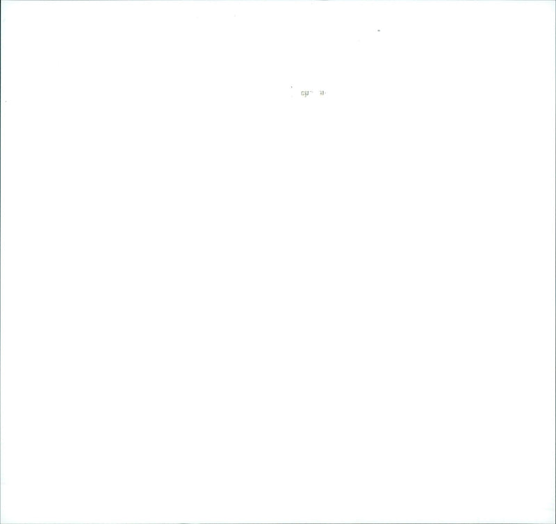 1996 EMICKER BRUCKE AND POTSDAN CULTURAL LANDSCAPE THAT GIVES - Vintage Photograph