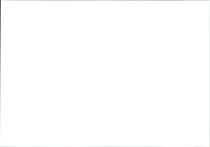 BERCJPG BERLIN GUTHMANNBALL MILLENNIUM MUSICIAN BRITISH ROCK ARTIST - Vintage Photograph