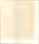 ENKMALER BRIDGE END MONUMENT BOLINBLE LASTWA DEATH MASK FILM - Vintage Photograph