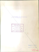 1993 BERCJPG GUTHMANNBALL MILLENNIUM COMPUTER SIMULA ROCK ARTIST MUSICIAN BRITISH - Vintage Photograph