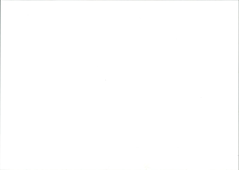 BERLIN HOTELS HDLON GRETA GABO THOMAS MANN AND FRANKLIN ROOSEVELT BED FILM - Vintage Photograph