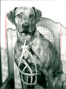 FOLK THEATER THEATER PIECES IMAGE WILLIKLAR FRANKFURT LILIENCRON - Vintage Photograph