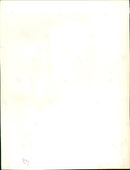 URM WAR SHEPHERD WAIT AND SEE RELEASED MOVIE - Vintage Photograph